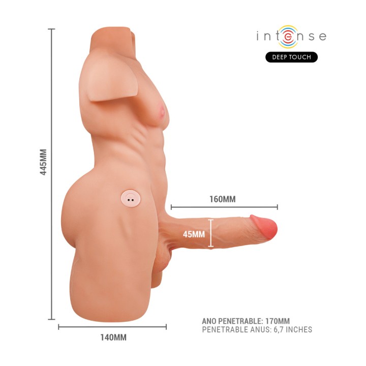 INTENSE Torso with anus and realistic dildo, thrust,