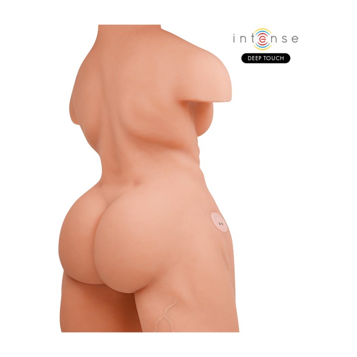 INTENSE Torso with anus and realistic dildo, thrust,