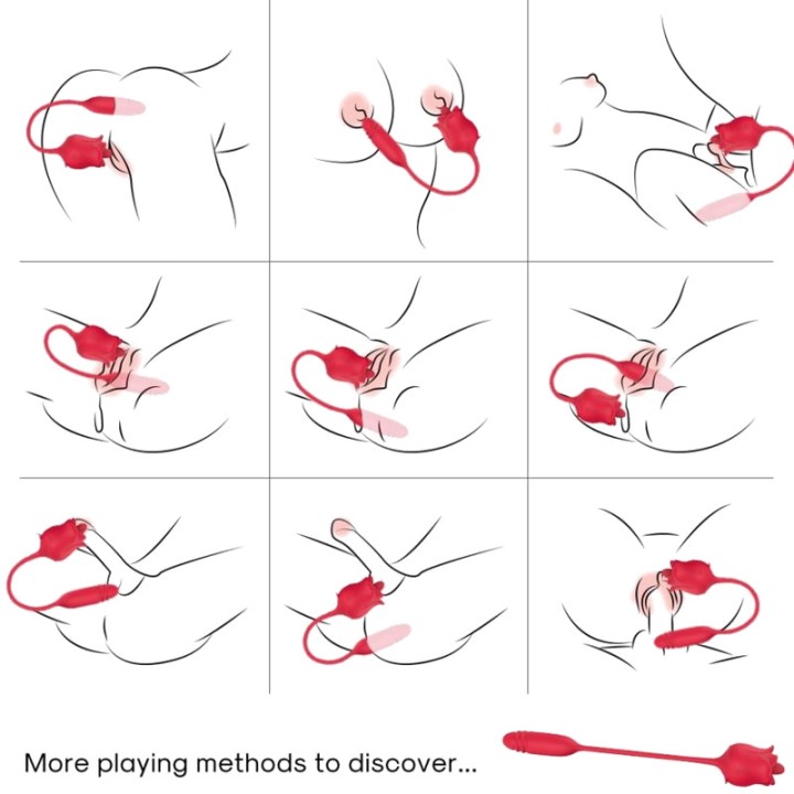 ARMONY 3-in-1 vacuum stimulator with tail and up down motion