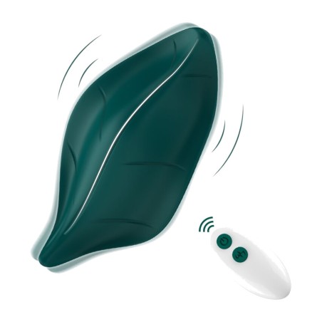 vibrateur stimulant du clitoris avec contrôle remote 46481