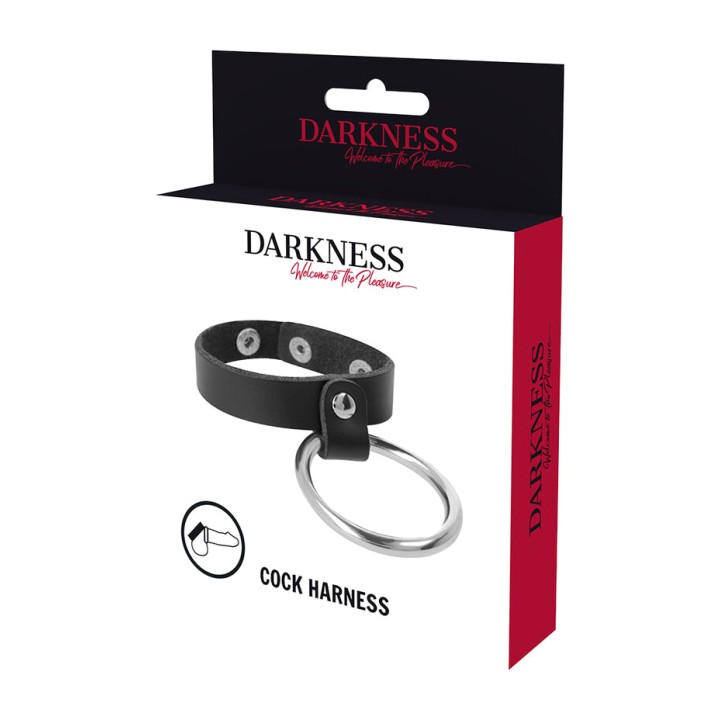 DARKNESS Anell de metall per al penis i testicles D-226733
