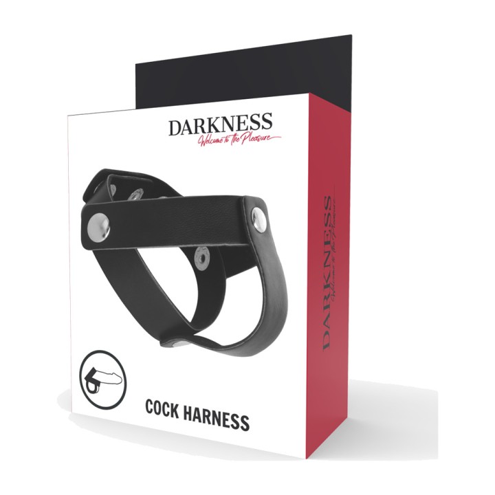 DARKNESS Inel de piele pentru penis și testicule H-PIECE