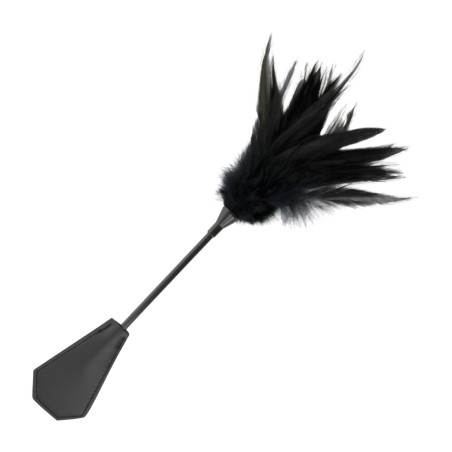fusta con pluma