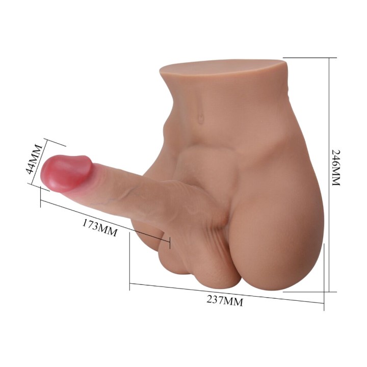 CRAZY BULL Realistic rear masturbator RHYNE D-242727