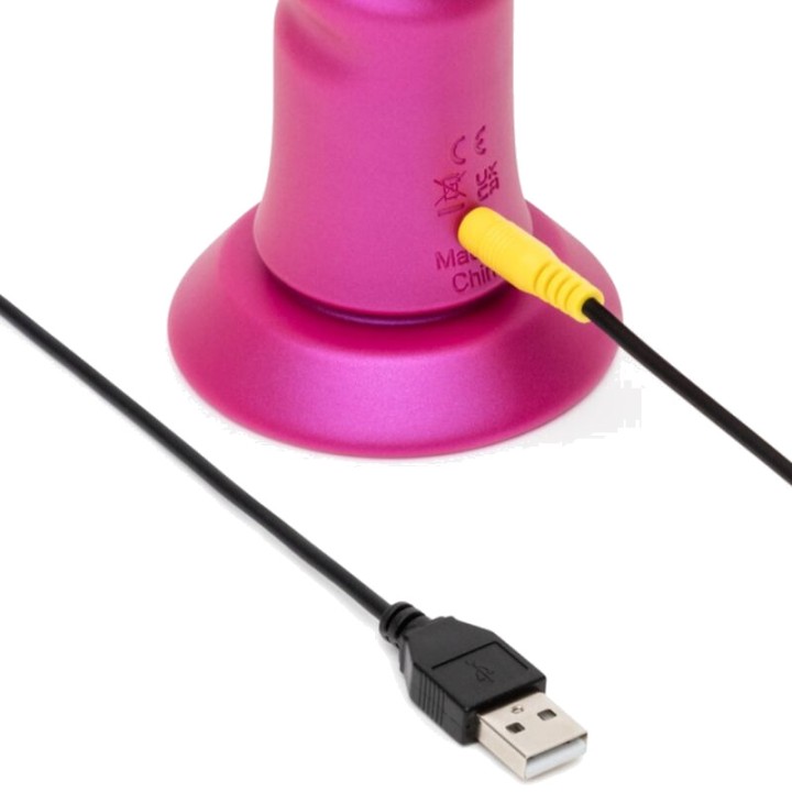 ROMP Vibrator with oscillating motion and suction cup