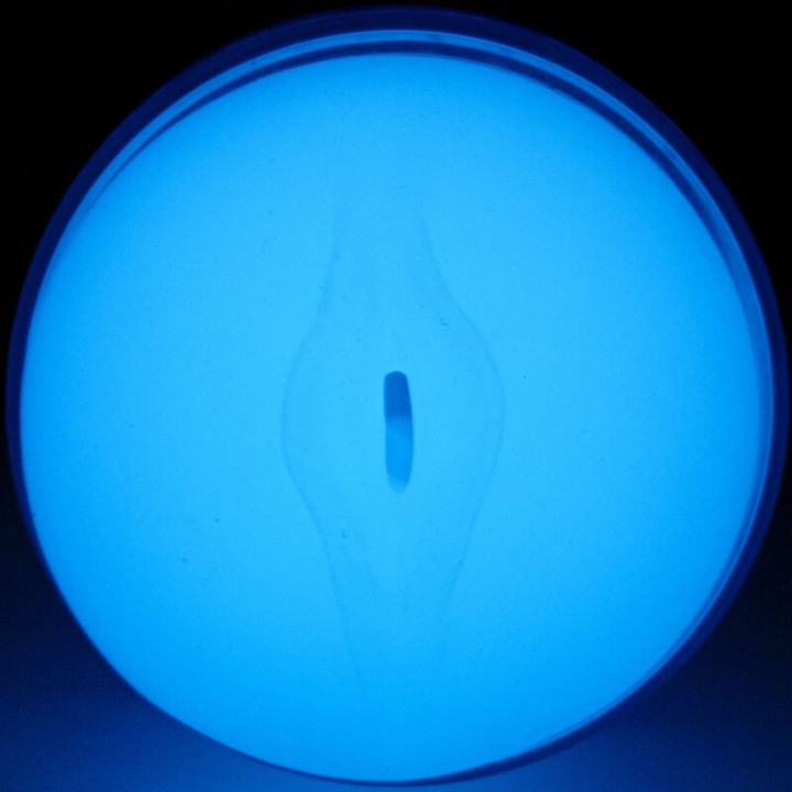 KIIROO Masculin stimulator vaginal fosforescent FEEL STROKER