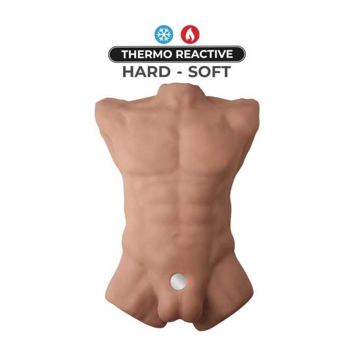 SILEXD Realistischer Männertorso APOLLO-L D-239800VAR