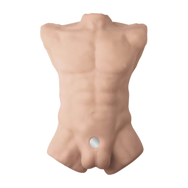 SILEXD Realistic male torso APOLLO-L D-239800VAR