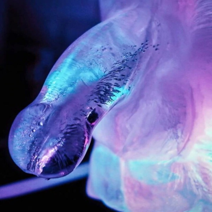 PLAY WIV ME Eiswürfelform in Form eines großen Penis
