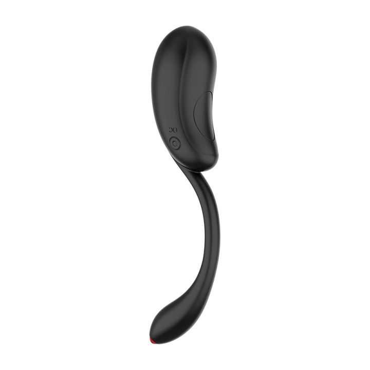 COQUETTE CHIC DESIRE Oeuf vibrant rechargeable avec