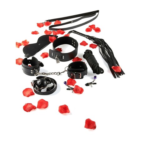 bdsm starter kit just for you