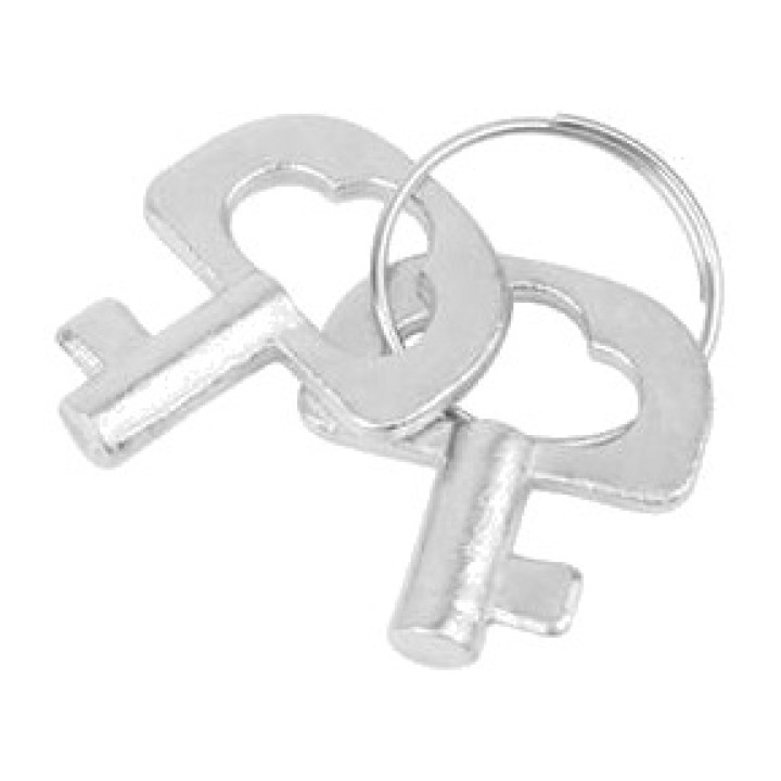 CHISA Metal handcuffs with keys LUV-PUNISH CN-632143542