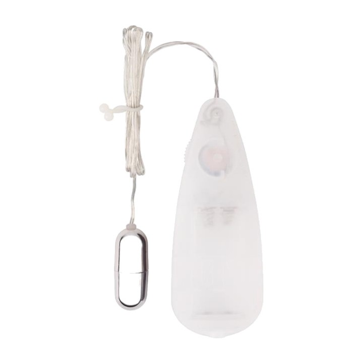 CHISA Multi-speed vibrating bullet with wired remote control