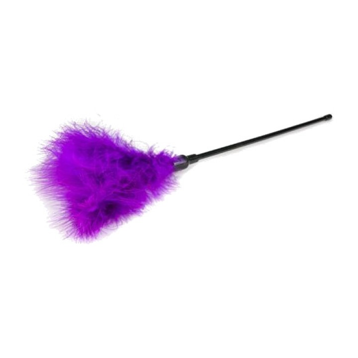 EASYTOYS Stimulating feathers with long handle ET253PUR