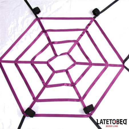 spiderweb-style bed restraint set araña