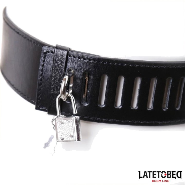 LATETOBED Adjustable women's chastity belt 8436615007776