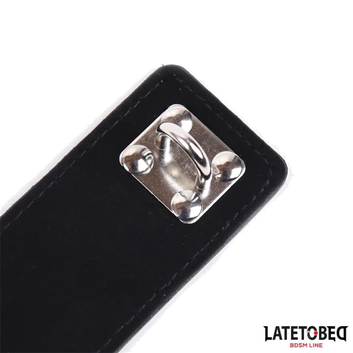 LATETOBED Adjustable women's chastity belt 8436615007776