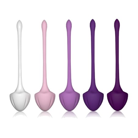 set de 5 bolas kegel de pesos progresivos