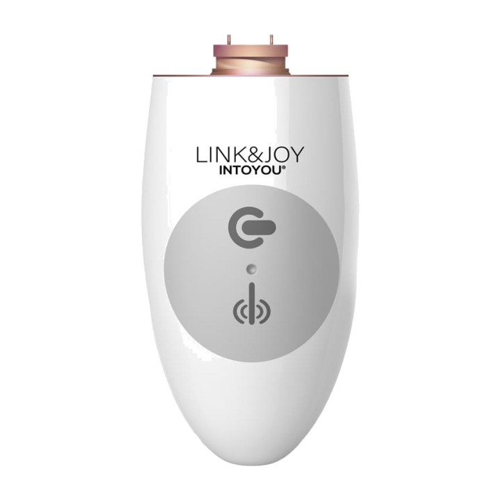 LINKJOY USB rechargeable vibrator controller for